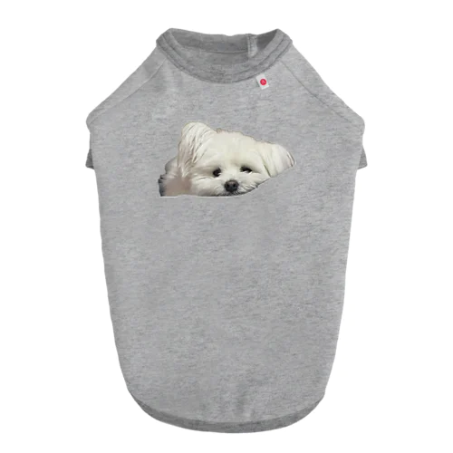 柏餅もかのいぬ Dog T-shirt