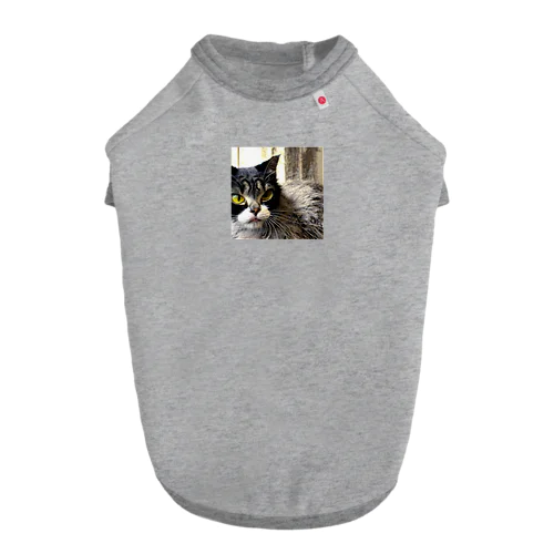 疲れた身体をいやすねこちゃん Dog T-shirt