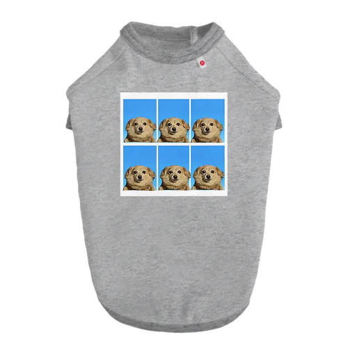 みんななかよし (friendly dogs) Dog T-shirt