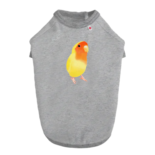 コザクラインコ　おすましルチノー【まめるりはことり】 ドッグTシャツ