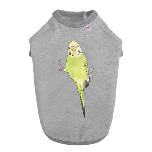 ピタッとセキセイインコちゃん【まめるりはことり】 ドッグTシャツ