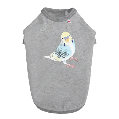 見つめる七色セキセイインコちゃん【まめるりはことり】 ドッグTシャツ