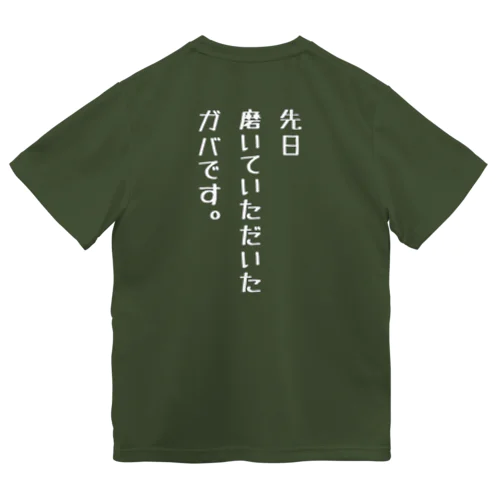 先日磨いていただいたガバです。 ドライTシャツ