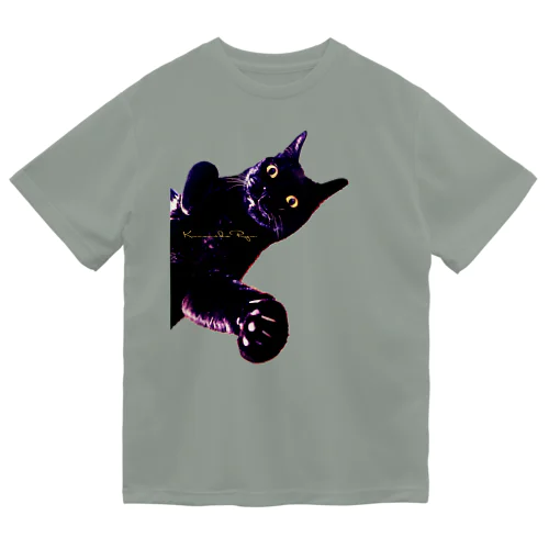 猫パンチ Dry T-Shirt