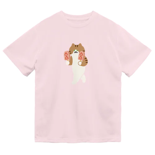 【大】いちごアイスをあざとく運ぶねこ ドライTシャツ