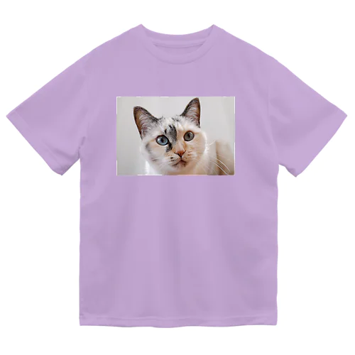 MIXねこ ドライTシャツ