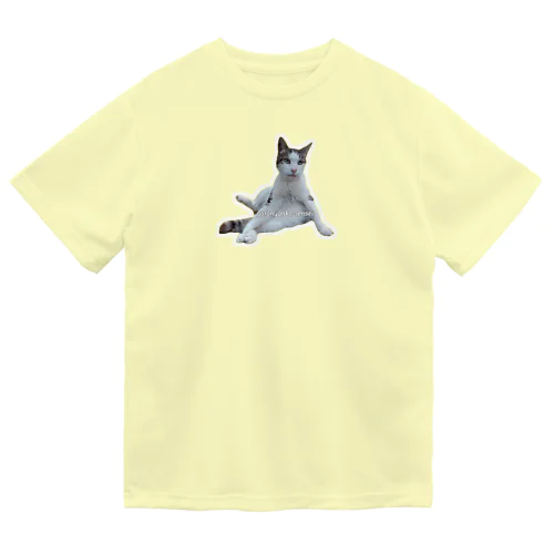 ゴロにゃんこ先生🙀🏡 Dry T-Shirt