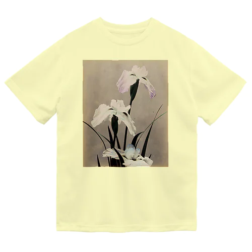 花菖蒲 Dry T-Shirt