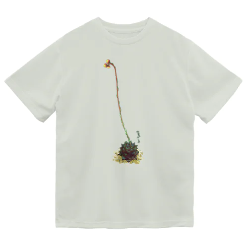 多肉植物・大和錦 Dry T-Shirt