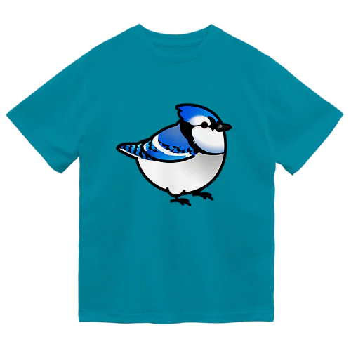 Chubby Bird アオカケス　ブルージェイ ドライTシャツ