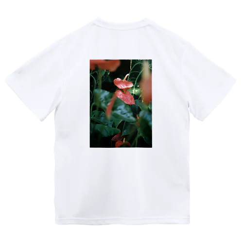 凛々しい Dry T-Shirt