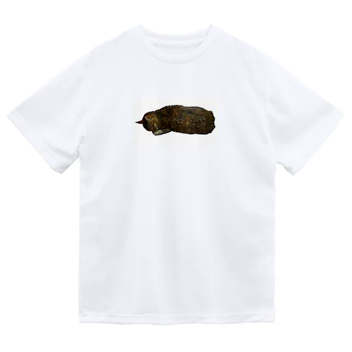 おねむ猫 Dry T-Shirt