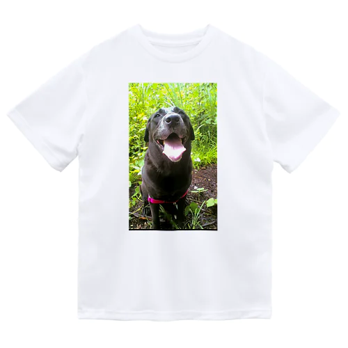 さんぽ Dry T-Shirt