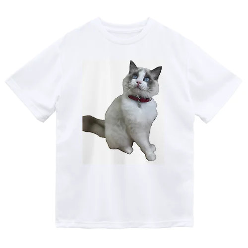 飼い猫のグッズ ドライTシャツ