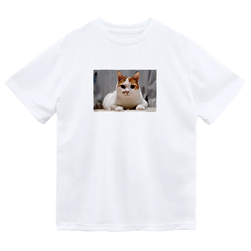 ねこたくん Dry T-Shirt