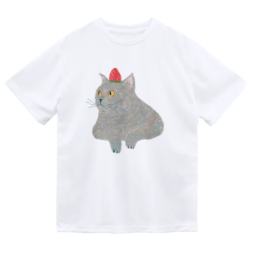 ブリいちご Dry T-Shirt
