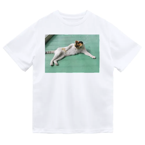 野良猫たまりん Dry T-Shirt