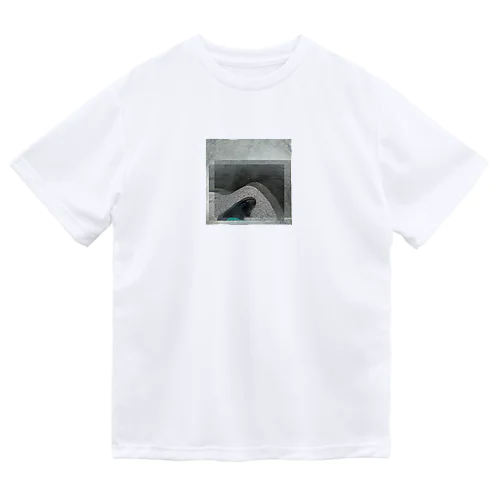 みどりのくつした Dry T-Shirt