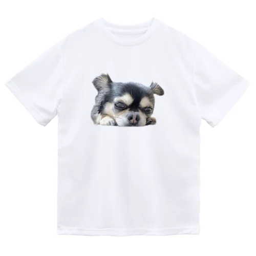 可愛いチワワ＊犬＊わんこ＊動物 Dry T-Shirt