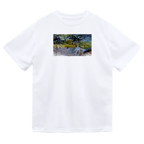 北海ブリ Dry T-Shirt