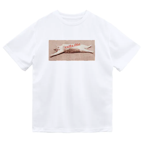 チャチャが落ちてる（ロゴ斜め） Dry T-Shirt