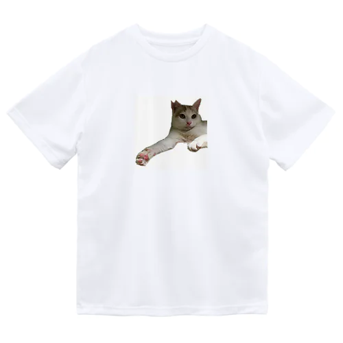 みいたくん Dry T-Shirt