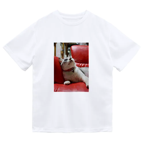 油彩のみゅう Dry T-Shirt