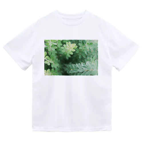 花壇の植物 ドライTシャツ