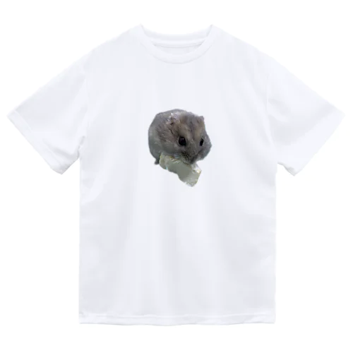 おやつタイムもんちゃん Dry T-Shirt