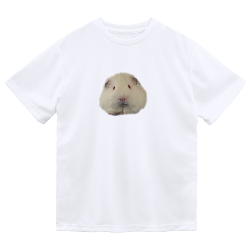 杏仁こそモルモット Dry T-Shirt