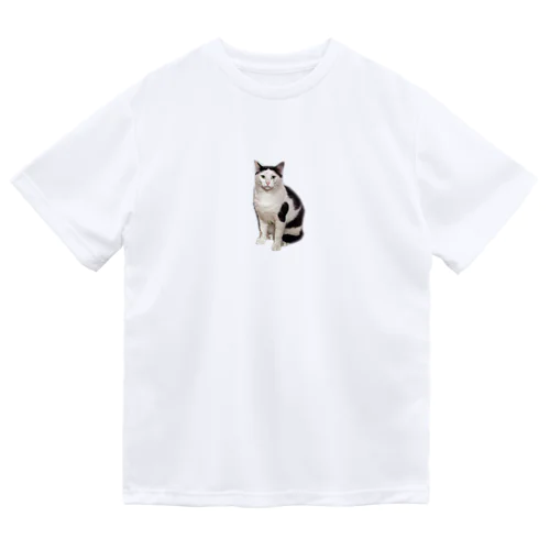 ヅラにゃんこ Dry T-Shirt