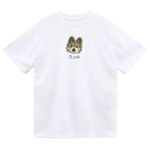 イリナキウサギ(イリピカ) ドライTシャツ