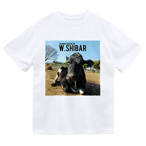 W.SHIBAR ドライTシャツ