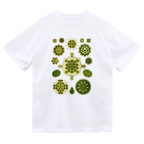 Kunstformen_Melethallia Dry T-Shirt