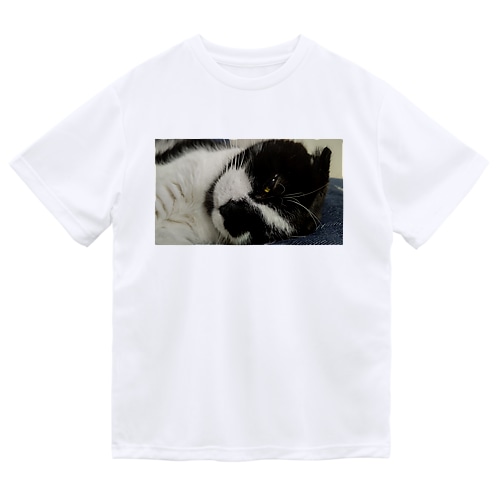 つぶらな瞳 Dry T-Shirt