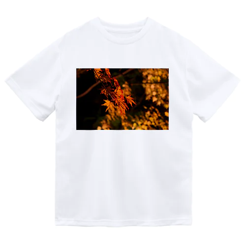 ライトアップ紅葉 - Japanese maple(night shot) - ドライTシャツ