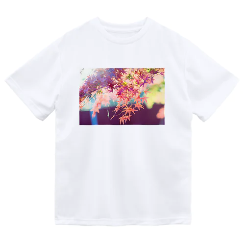 ユメノコウヨウ Dry T-Shirt