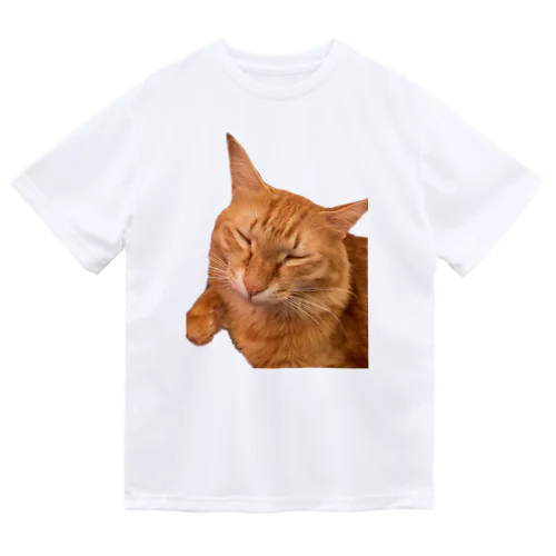 ネムネム我が家のお猫様 ドライTシャツ