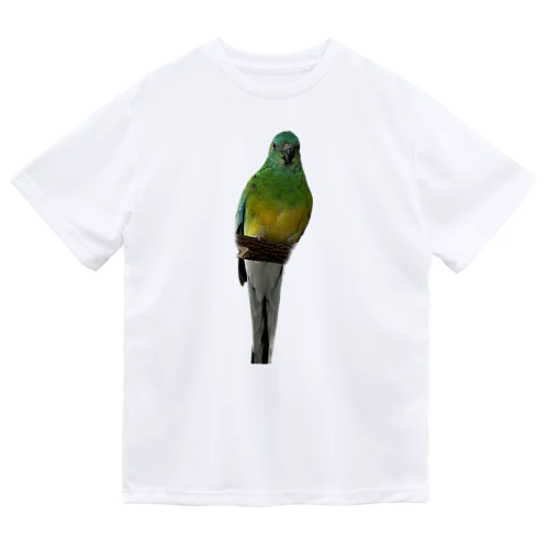 ビセイインコ Dry T-Shirt