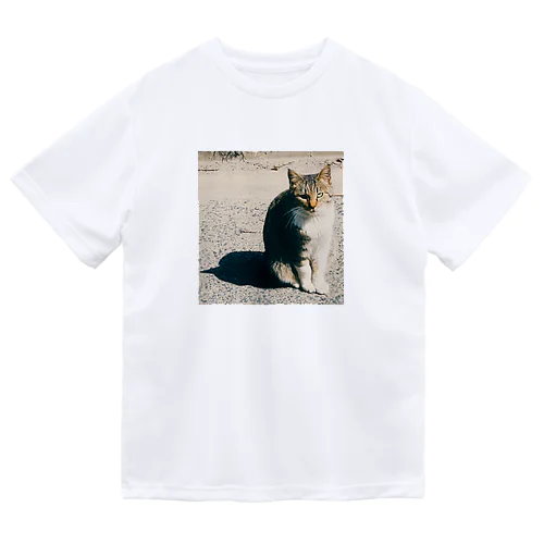 ねこ猫ネコ ドライTシャツ