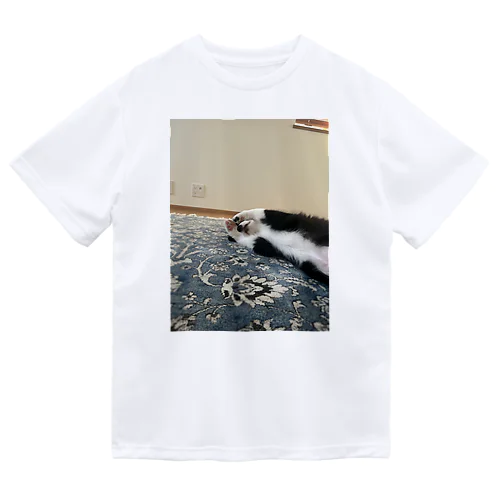 ごろん Dry T-Shirt