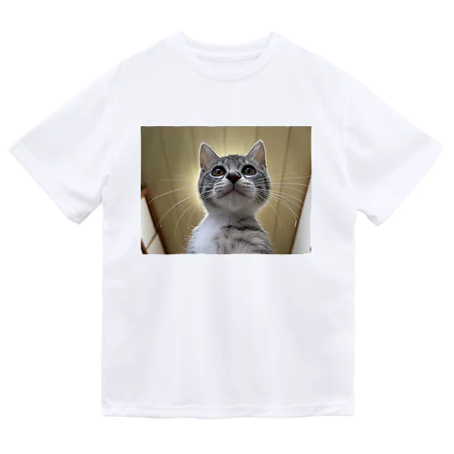 保護猫ベジータ　神 ドライTシャツ