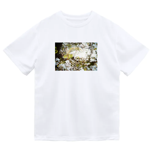 桜と光 ドライTシャツ