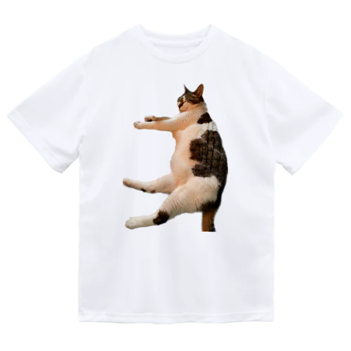 ぷよんぷよんコロン猫 Dry T-Shirt