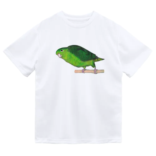 [森図鑑] サザナミインコ緑色 ドライTシャツ