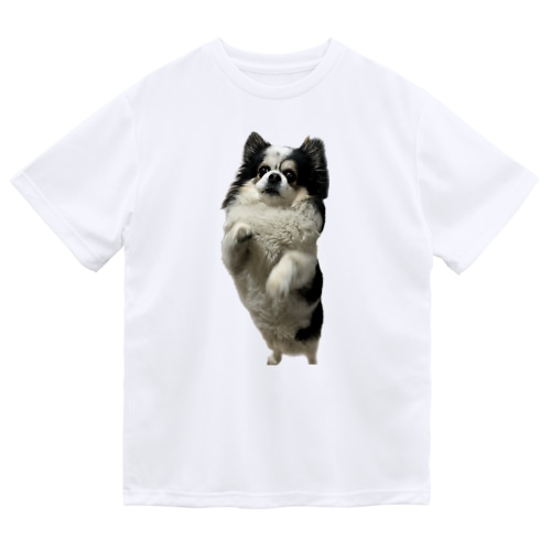 クレバーさん立ち姿 Dry T-Shirt