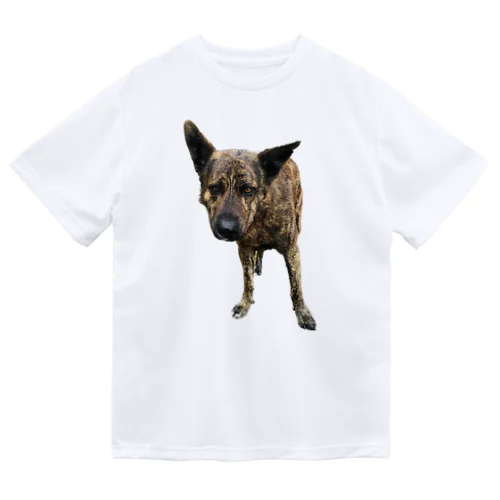 愛犬注意 Dry T-Shirt