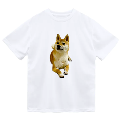 柴犬おかゆ Dry T-Shirt