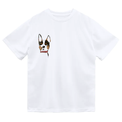 梅T ドライTシャツ