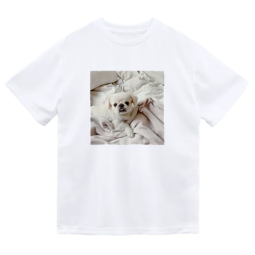 添い寝に誘う犬 Dry T-Shirt